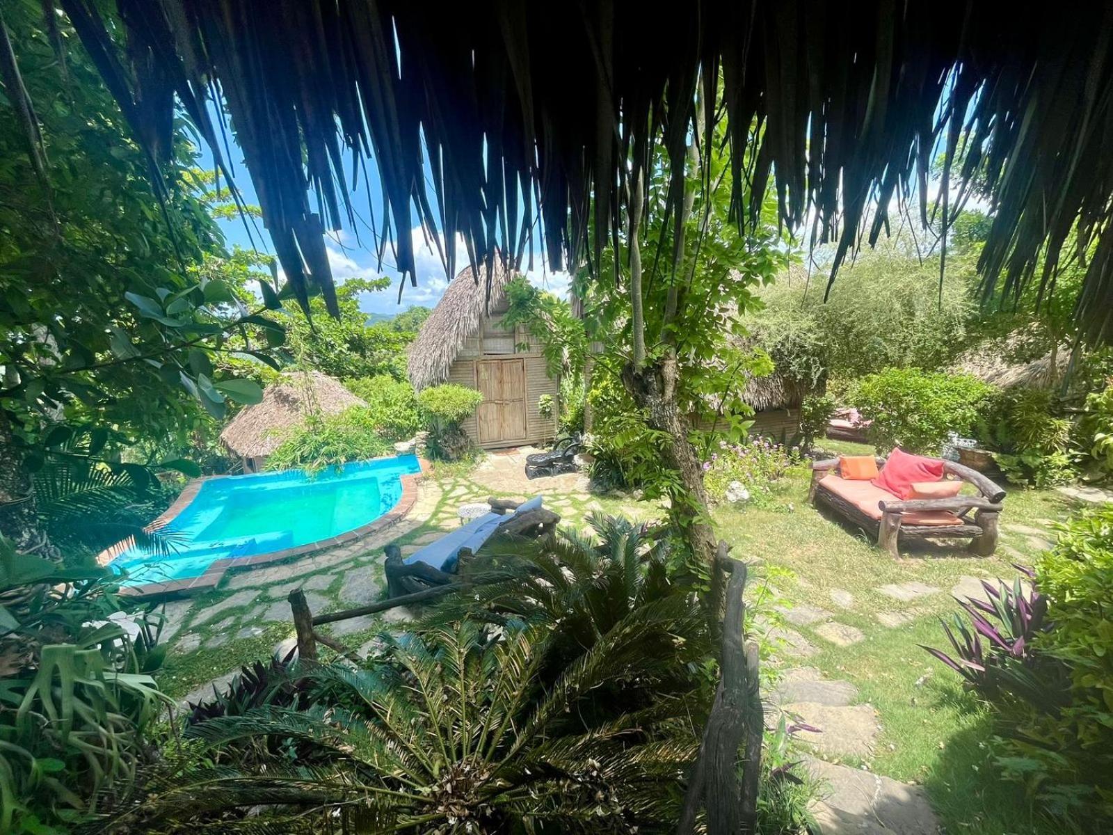 Ecolodge Tubagua Puerto Plata Dış mekan fotoğraf