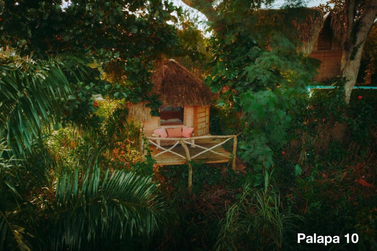 Ecolodge Tubagua Puerto Plata Dış mekan fotoğraf