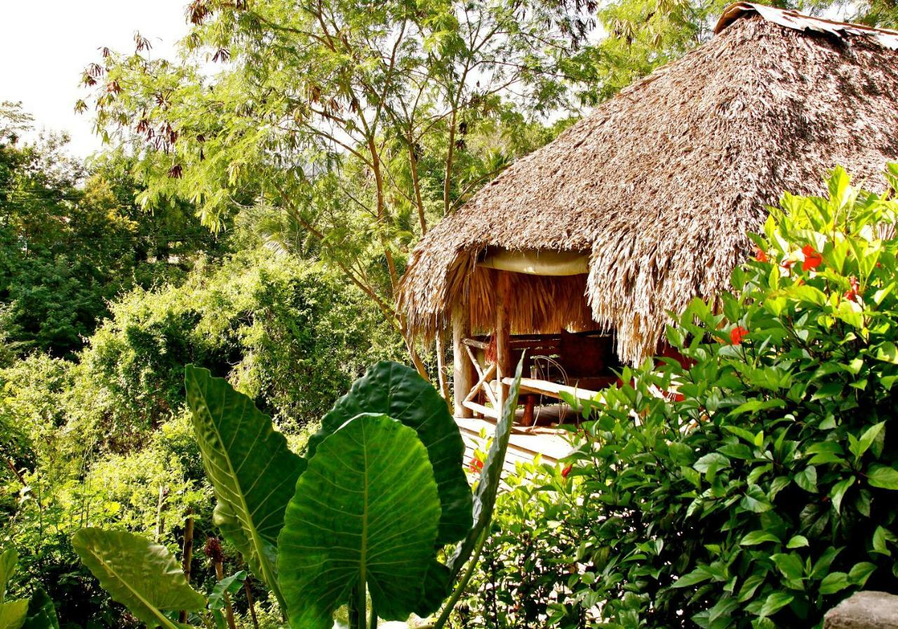 Ecolodge Tubagua Puerto Plata Dış mekan fotoğraf